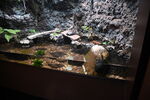 DSC_6817.JPG